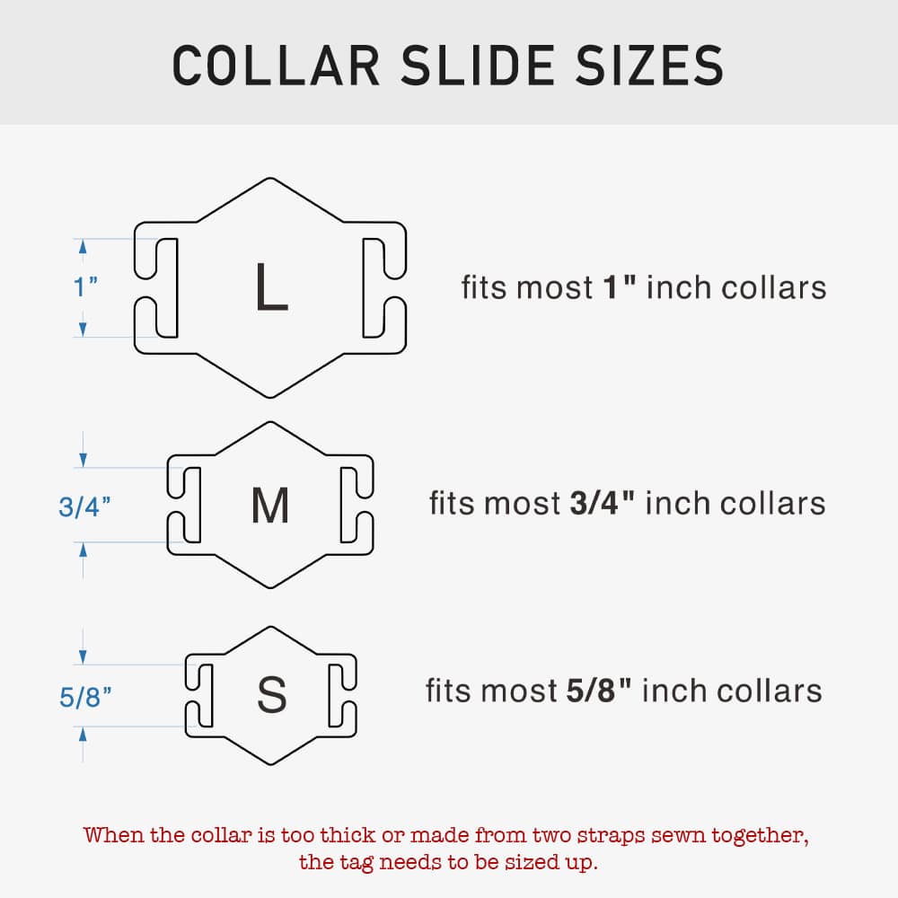 Hexagon-Slide-On-Pet-ID-Tag-size