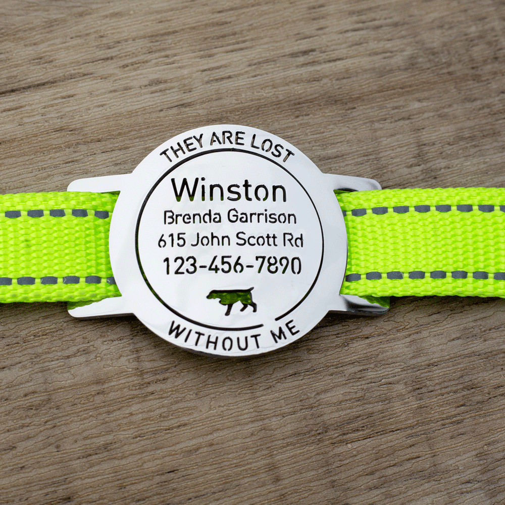 Round-Slide-On-Pet-ID-Tag-on-the-collar