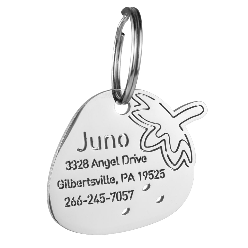 Strawberry-dog-id-tag