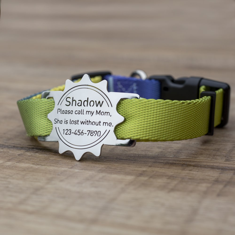 Sun-shaped-Slide-On-Pet-ID-Tag