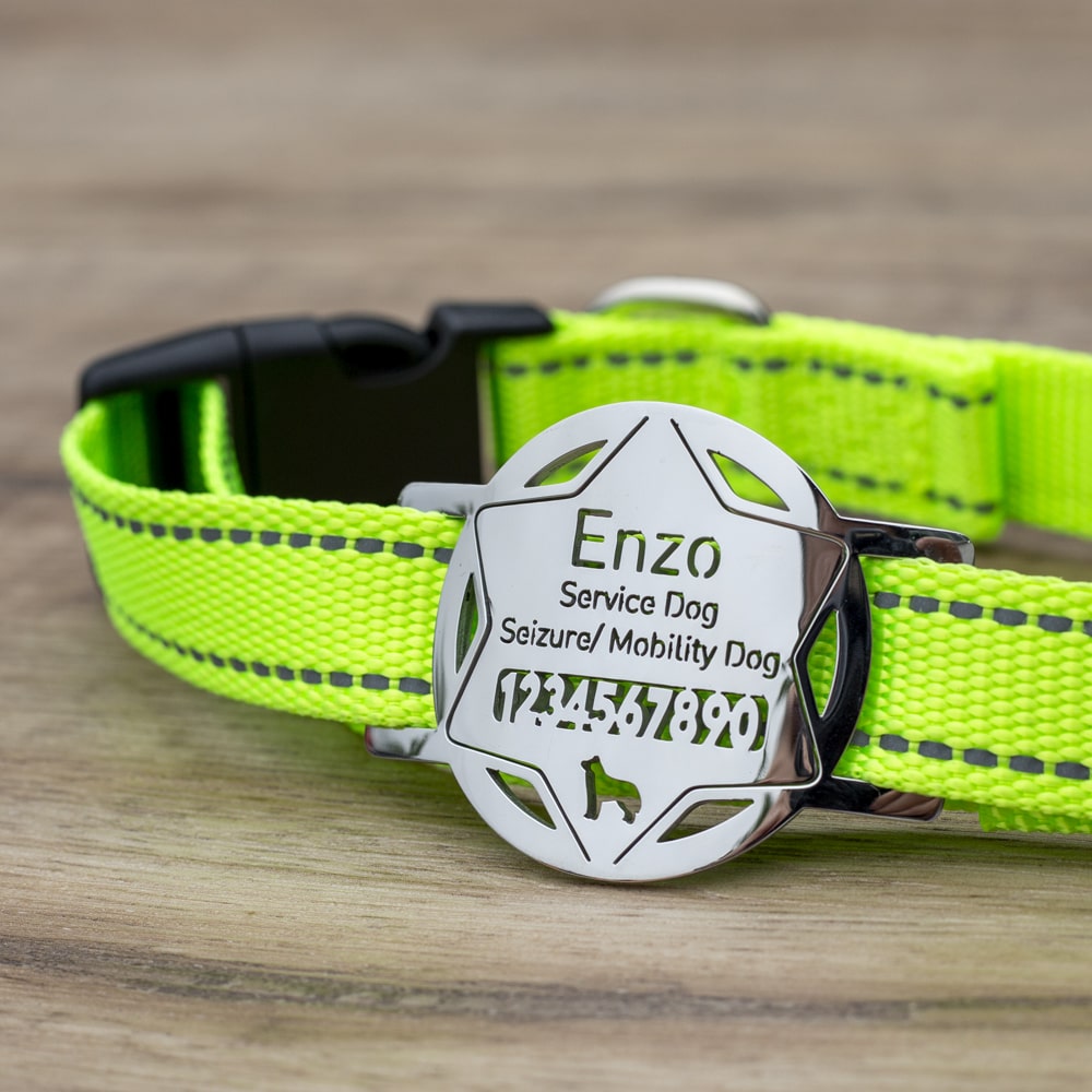 police-badge-Slide-On-Pet-ID-Tag-on-the-collar