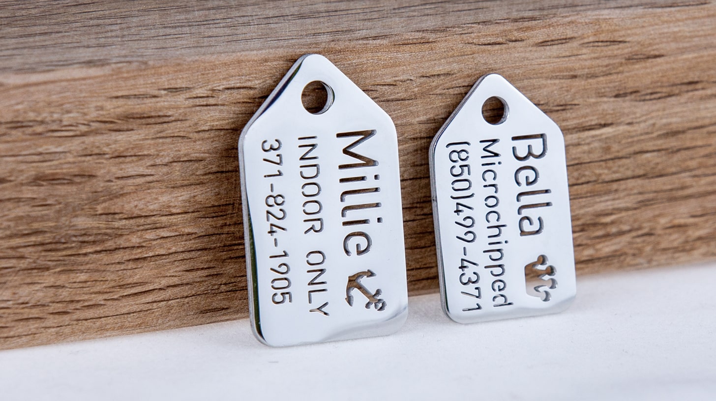 2 designer Dog tags