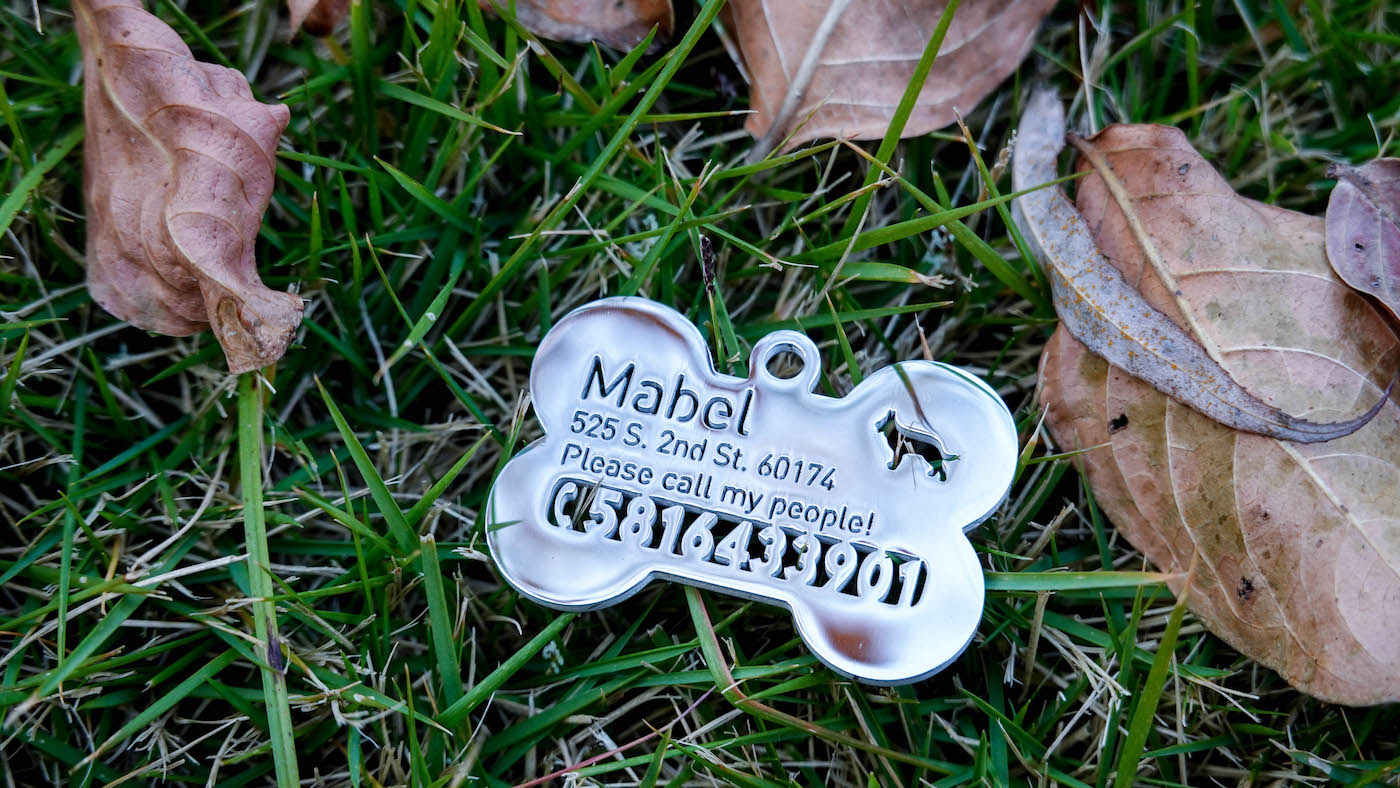Custom Dog ID Tags for Service Dogs