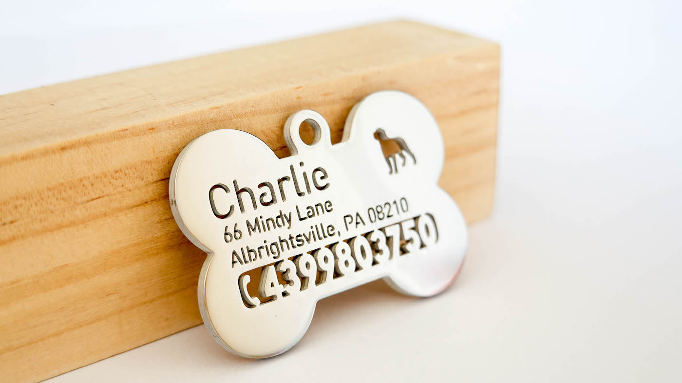 Celebrating Your Pet's Style Celebrity Inspired Custom Dog ID Tags