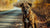 Pit_Bull_Mountain_Cur_mix_stand_beside_the_road