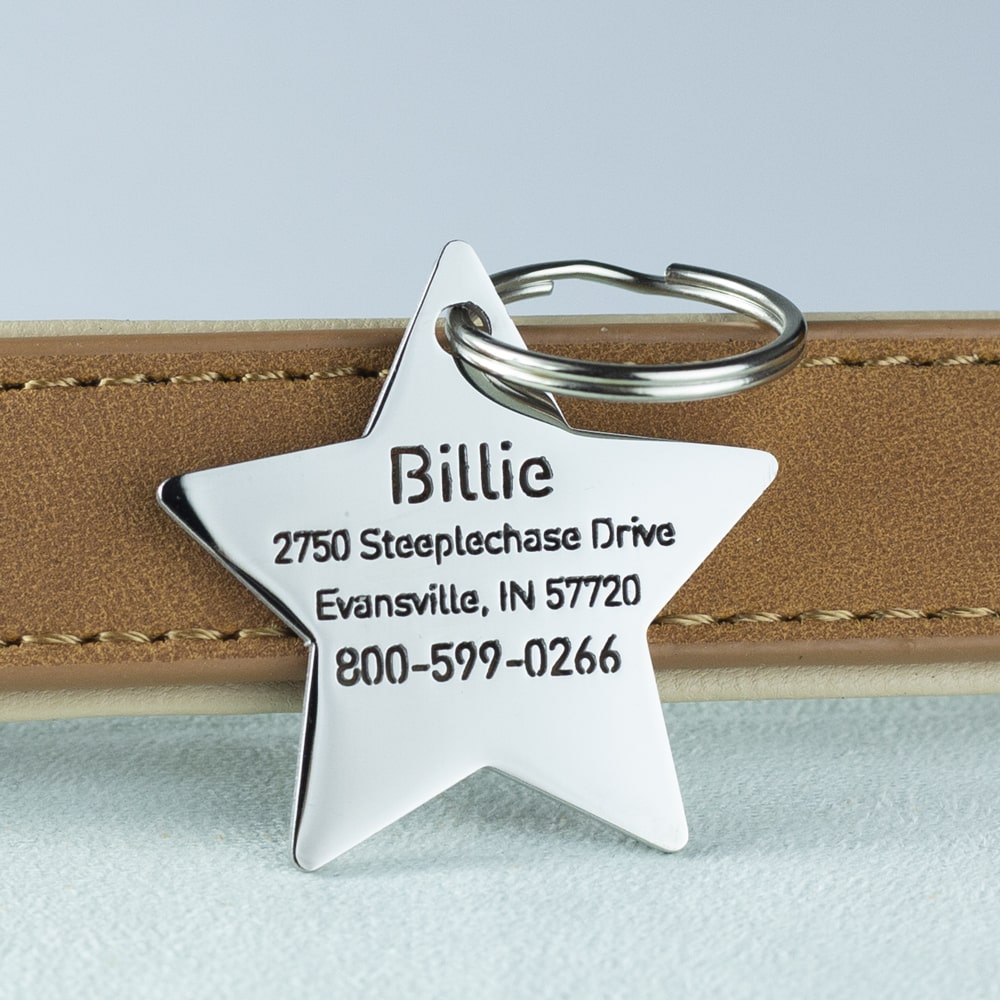 Big-Star-dog-id-tag