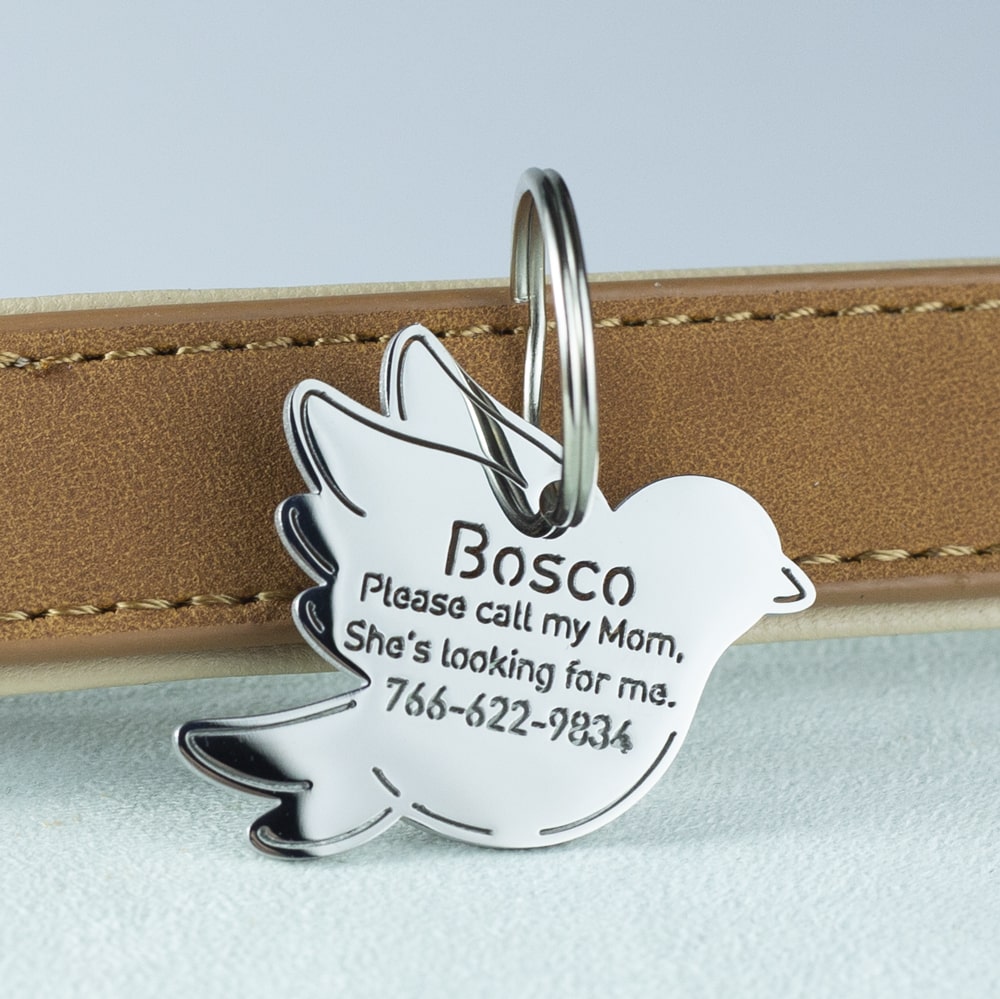 Bird-dog-tag