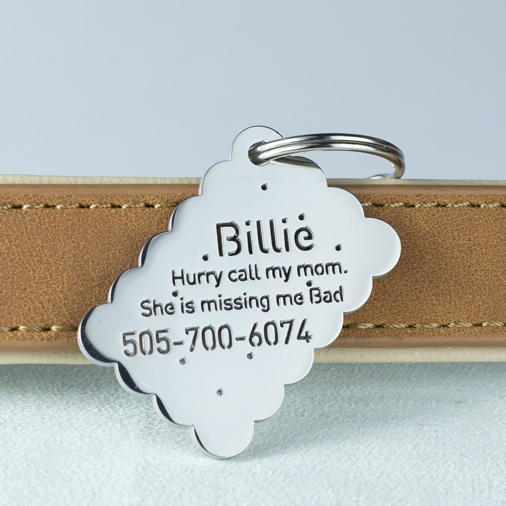 Biscuit-dog-tag