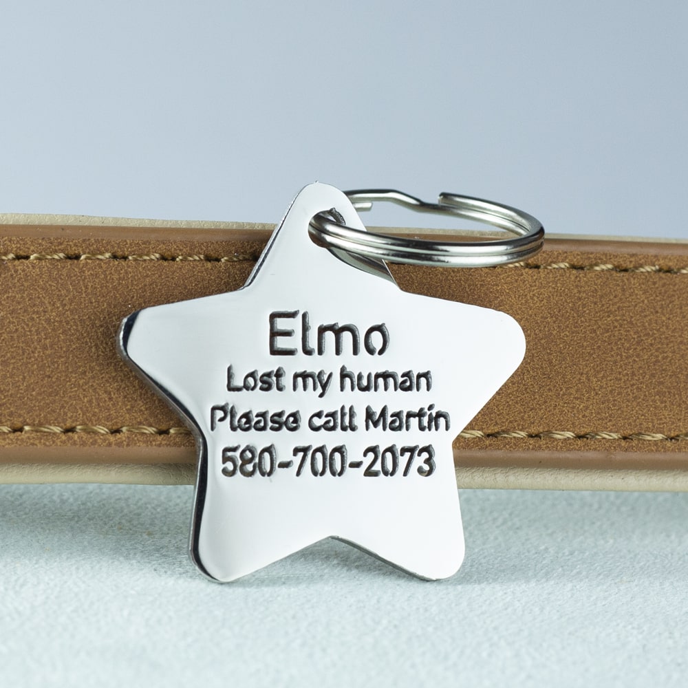 Cute-star-dog-id-tag