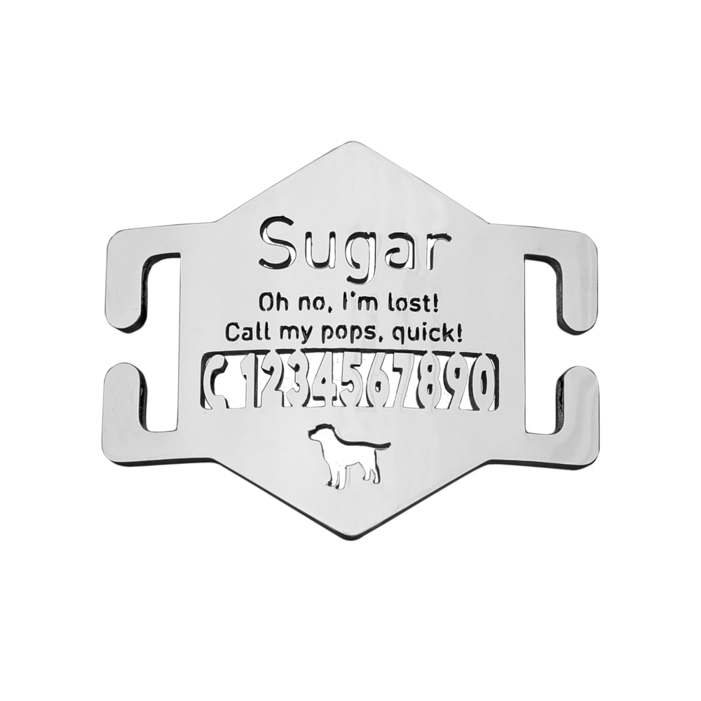 Hexagon-Slide-On-Pet-ID-Tag-white-background