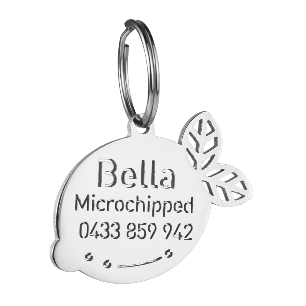 Lemon-dog-id-tag
