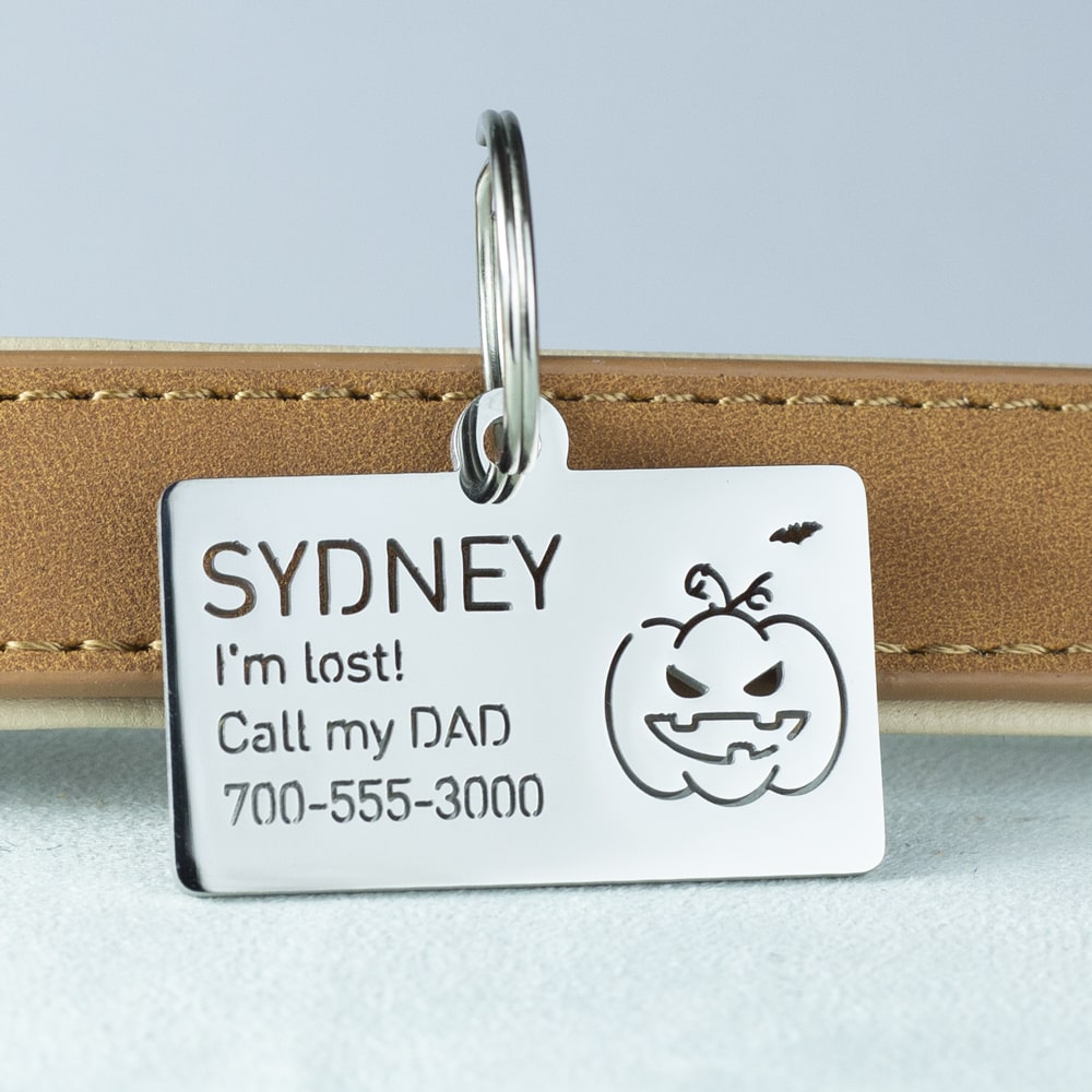Rectangle-dog-id-tag-with-pumpkin icon