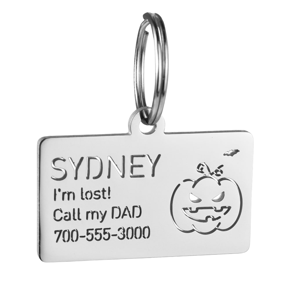 Rectangle-dog-id-tag-with-pumpkin icon