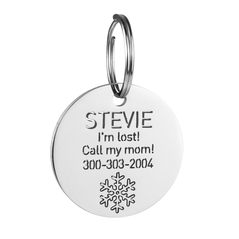Round-pet-tag-with-snowflake-icon