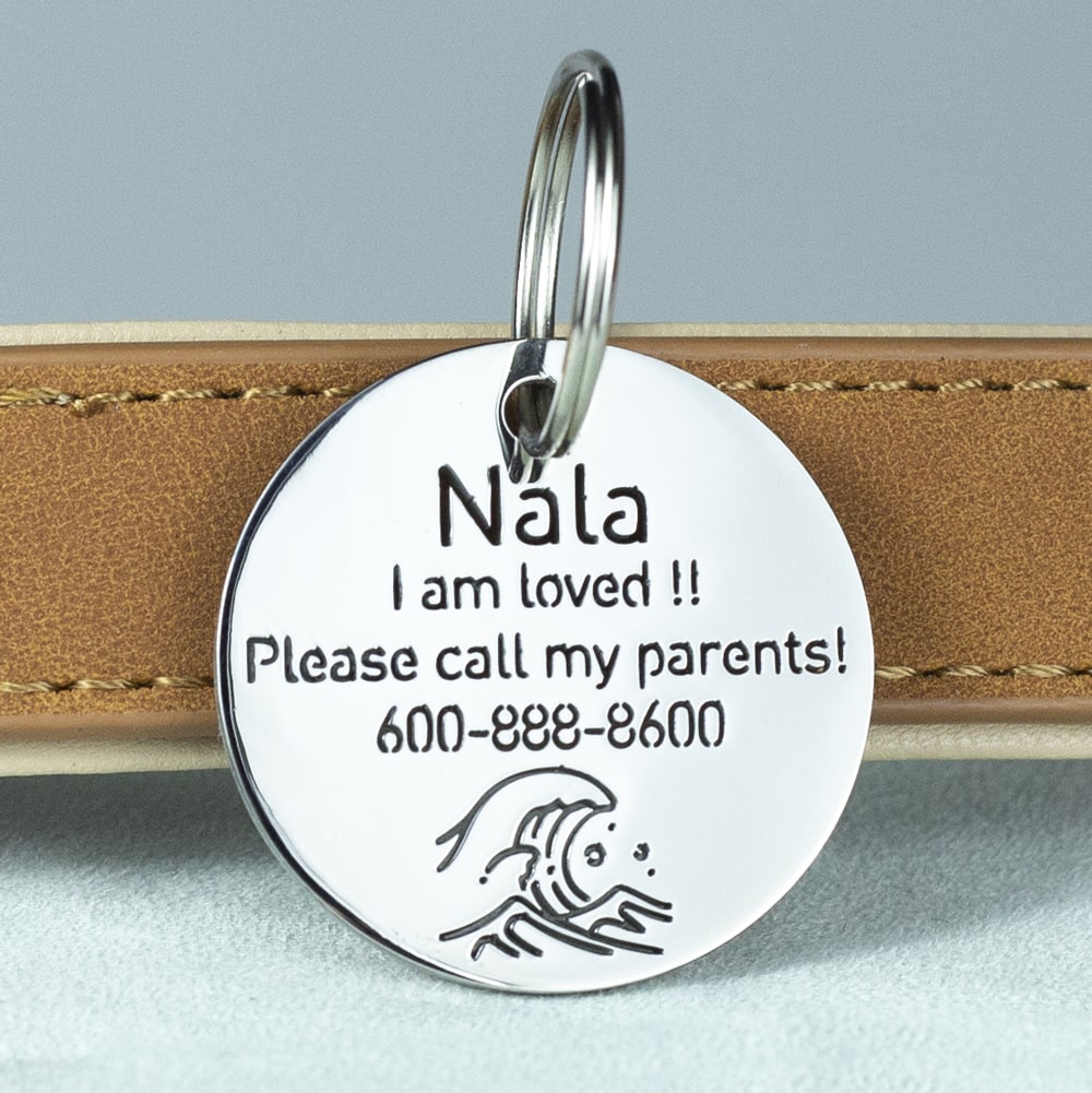 Nala dog tag best sale