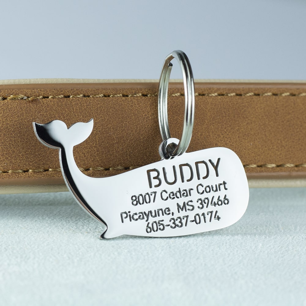 Whale-dog-tag