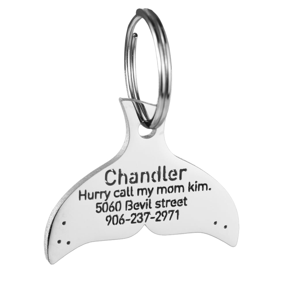 Whale-tail-dog--id-tag