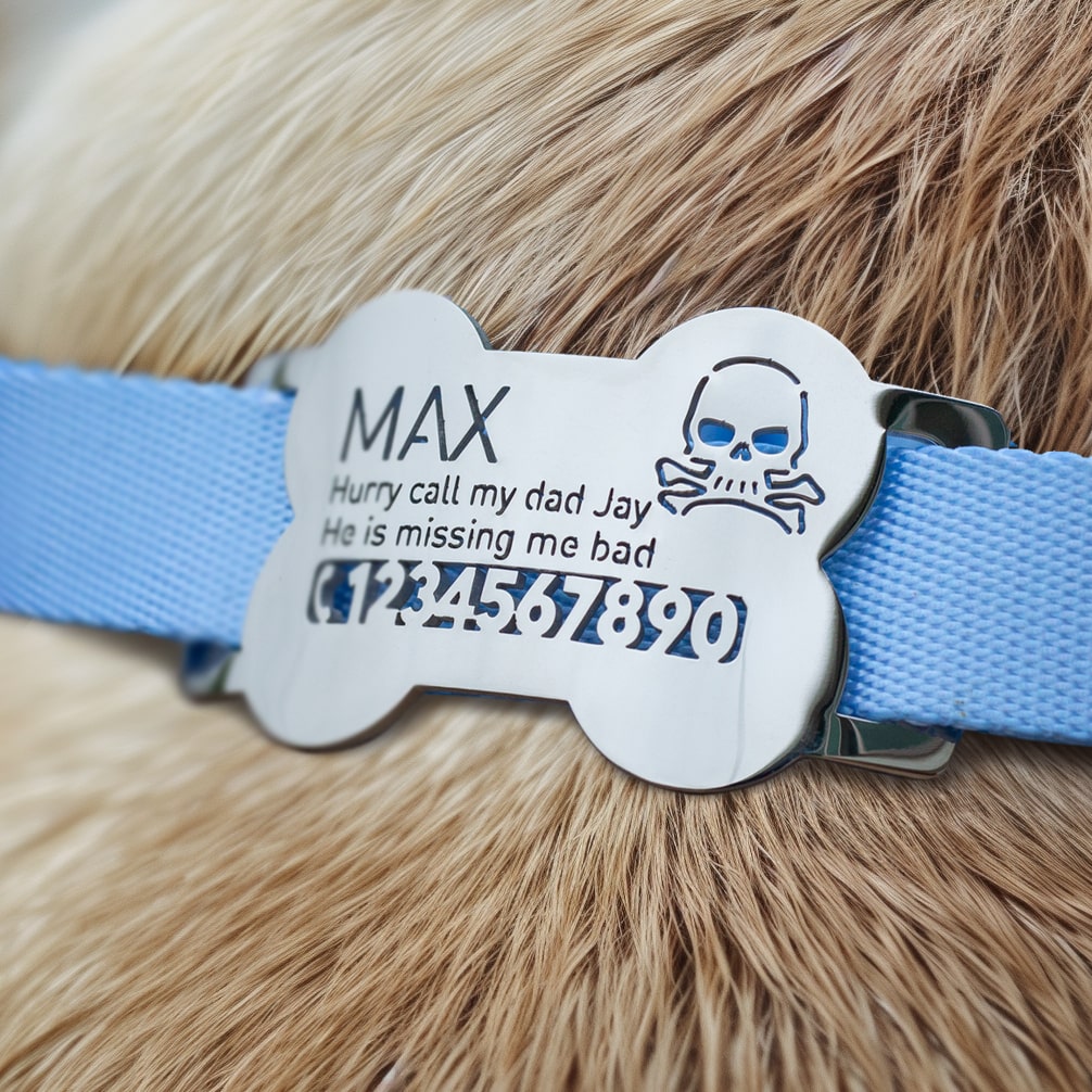 slide-on-dog-id-tag-on-a-collar