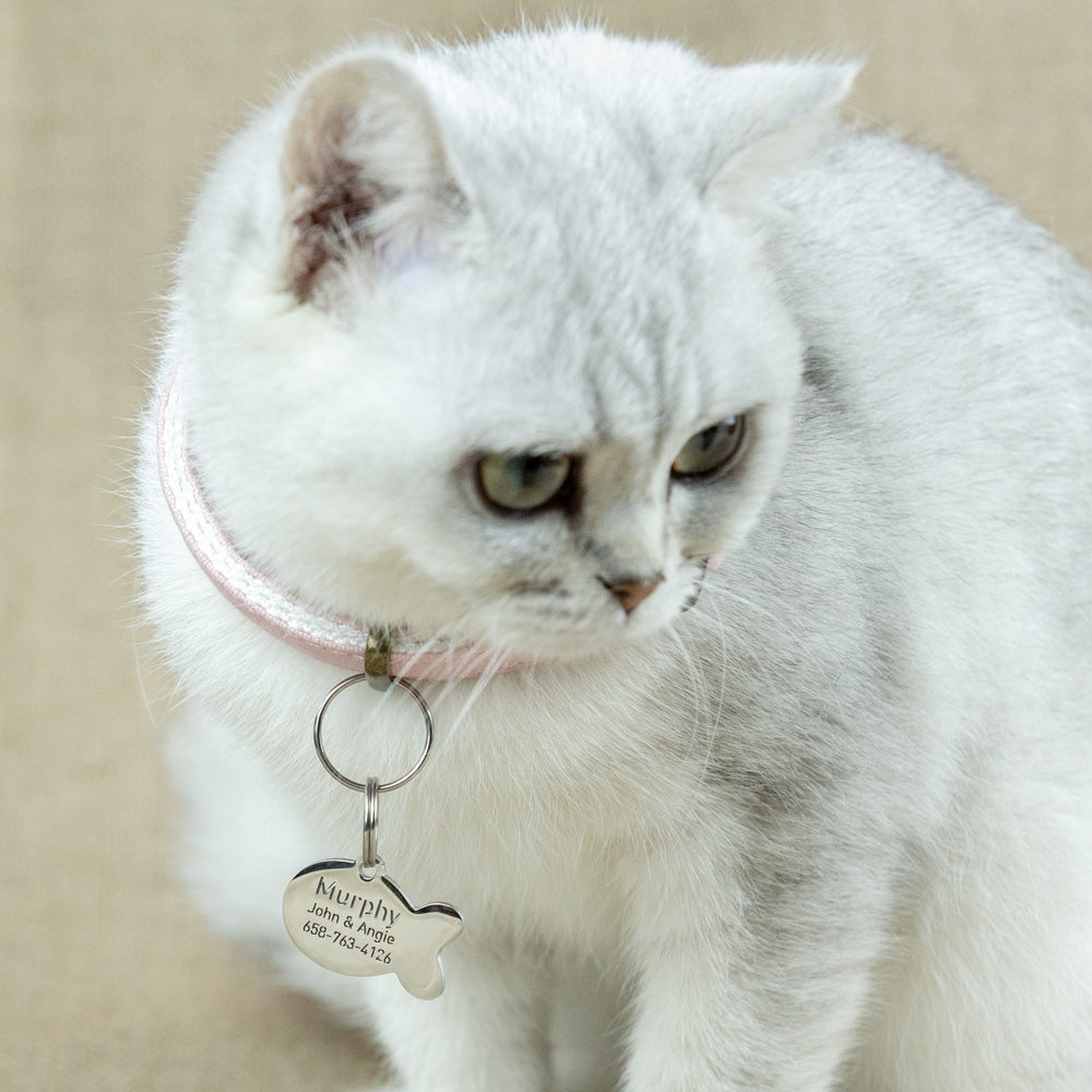 Small cat tag top