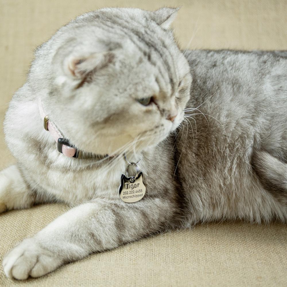 Openwork Cat ID Tags Taglec