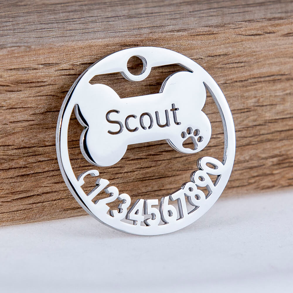 Raspberry Dog Tag Custom Pet ID Tags | TAGLEC - Style & Safety for Your Pet